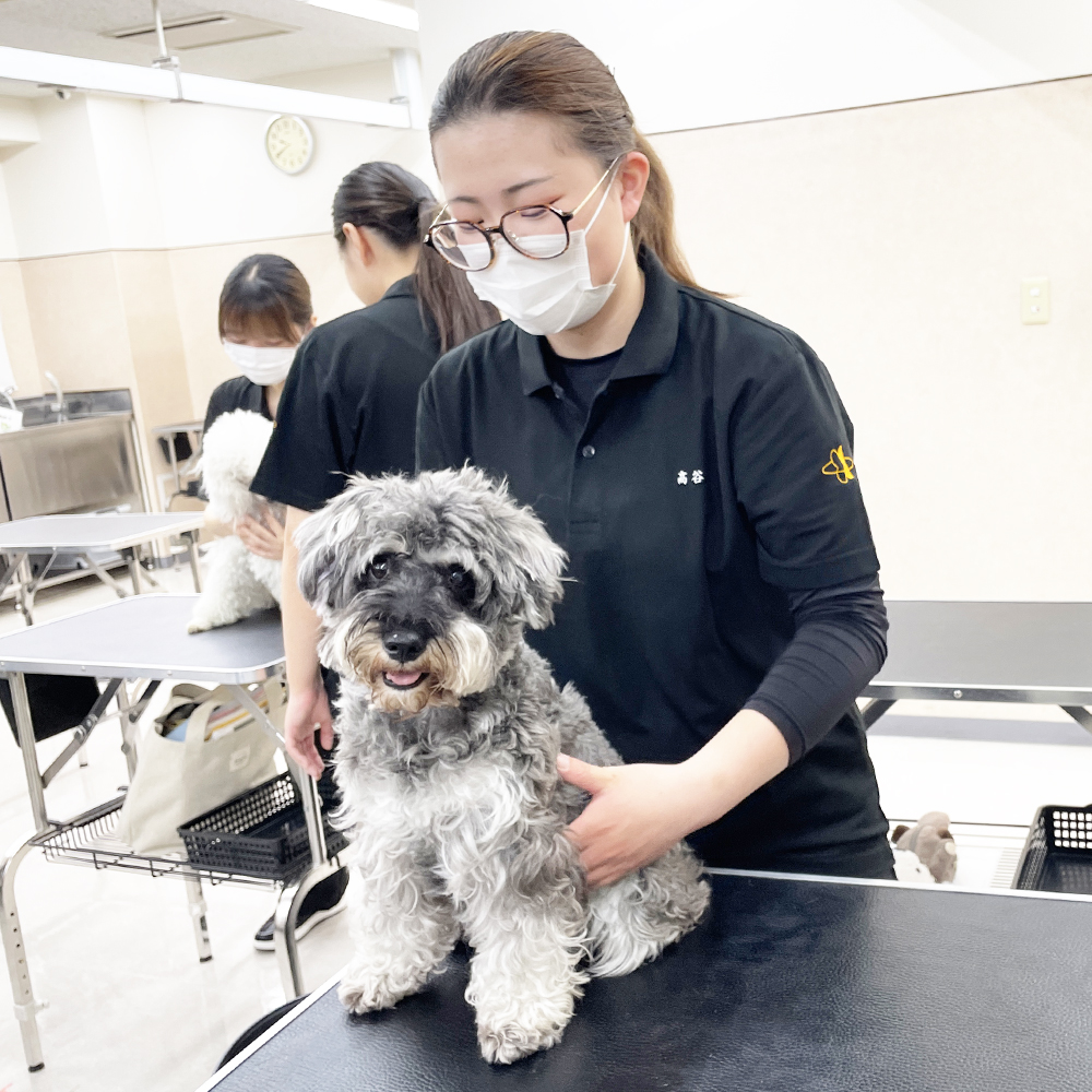 1年生の保定実習